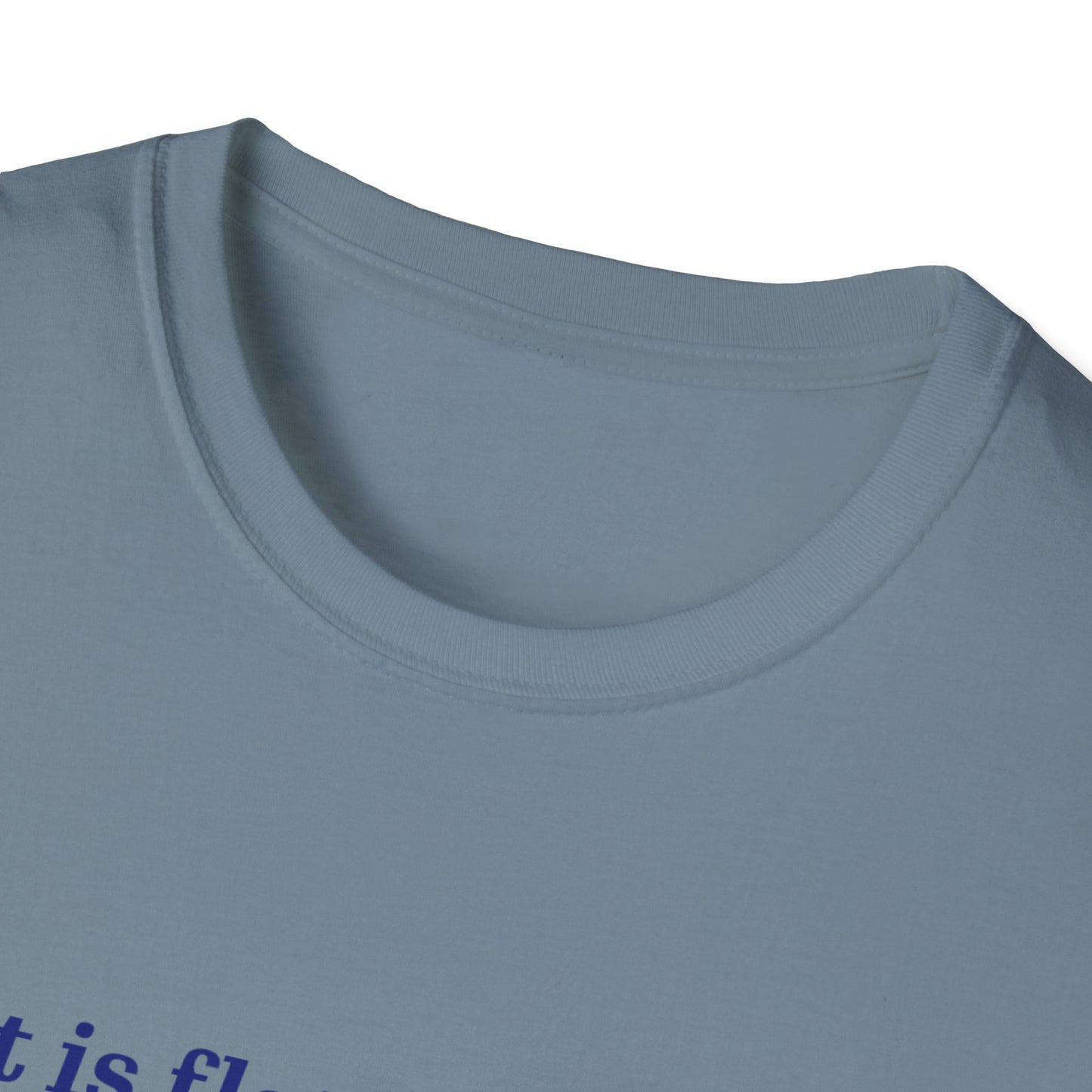 Nasa Flat Earth Unisex T-Shirt