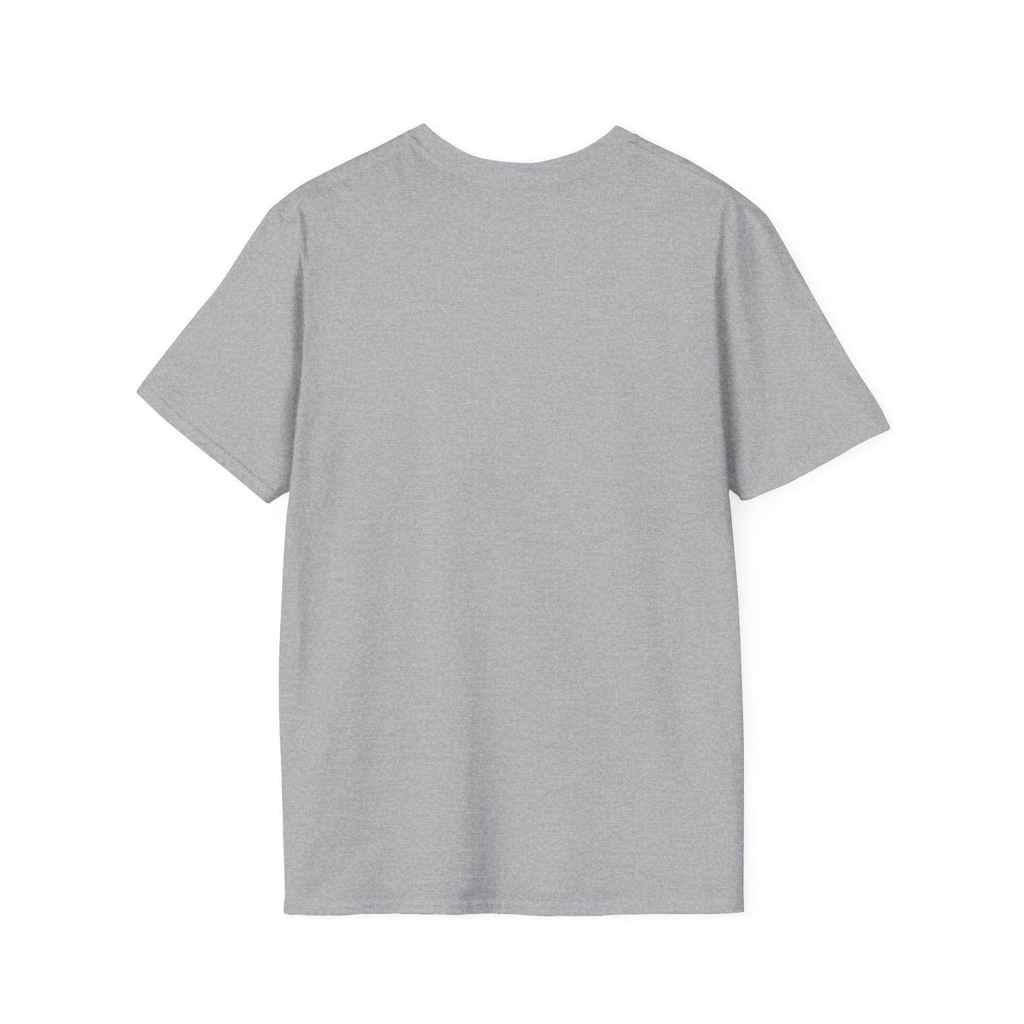 Nasa Flat Earth Unisex T-Shirt
