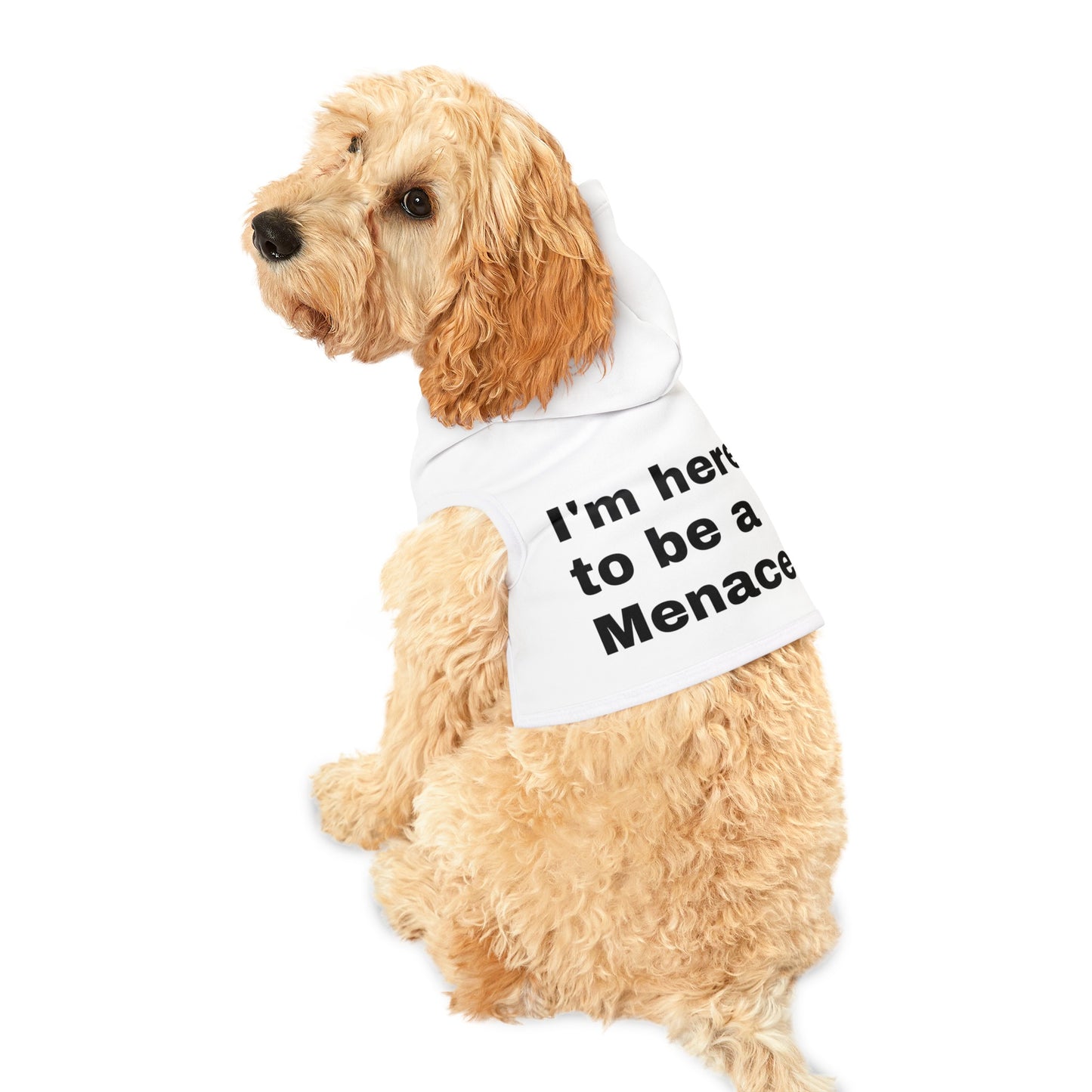 I'm here to be a Menace Pet Hoodie