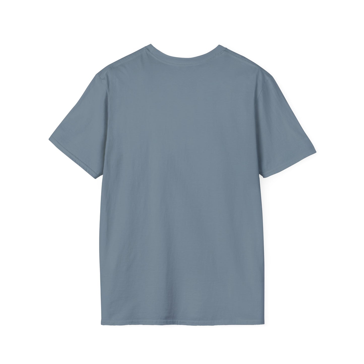 Nasa Flat Earth Unisex T-Shirt
