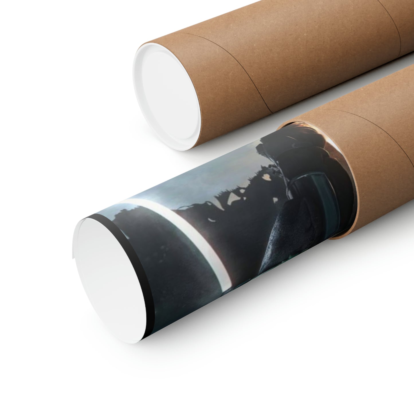 The Sandalorian Matte Vertical Posters