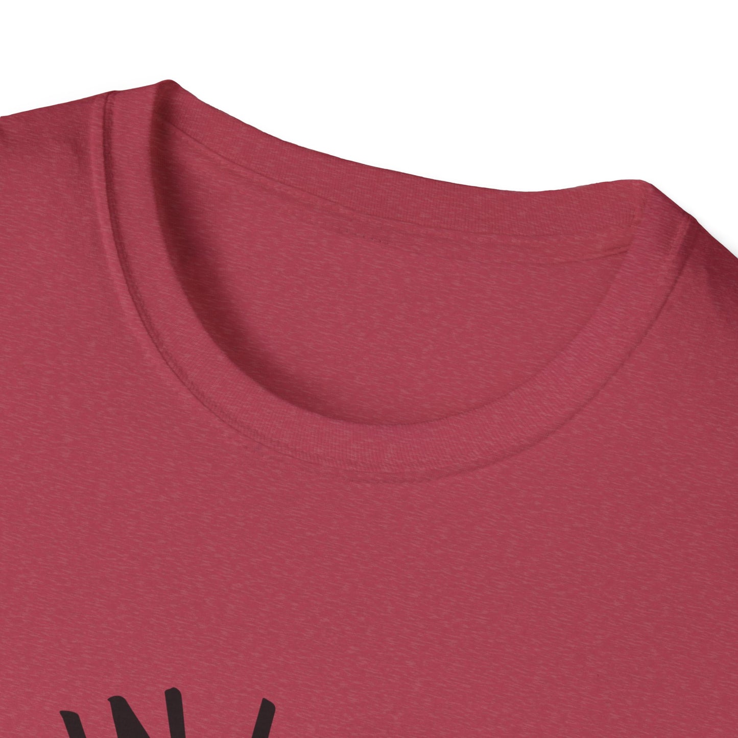 Get in Losers We're Doing Butt Stuff Funny UFO Softstyle T-Shirt