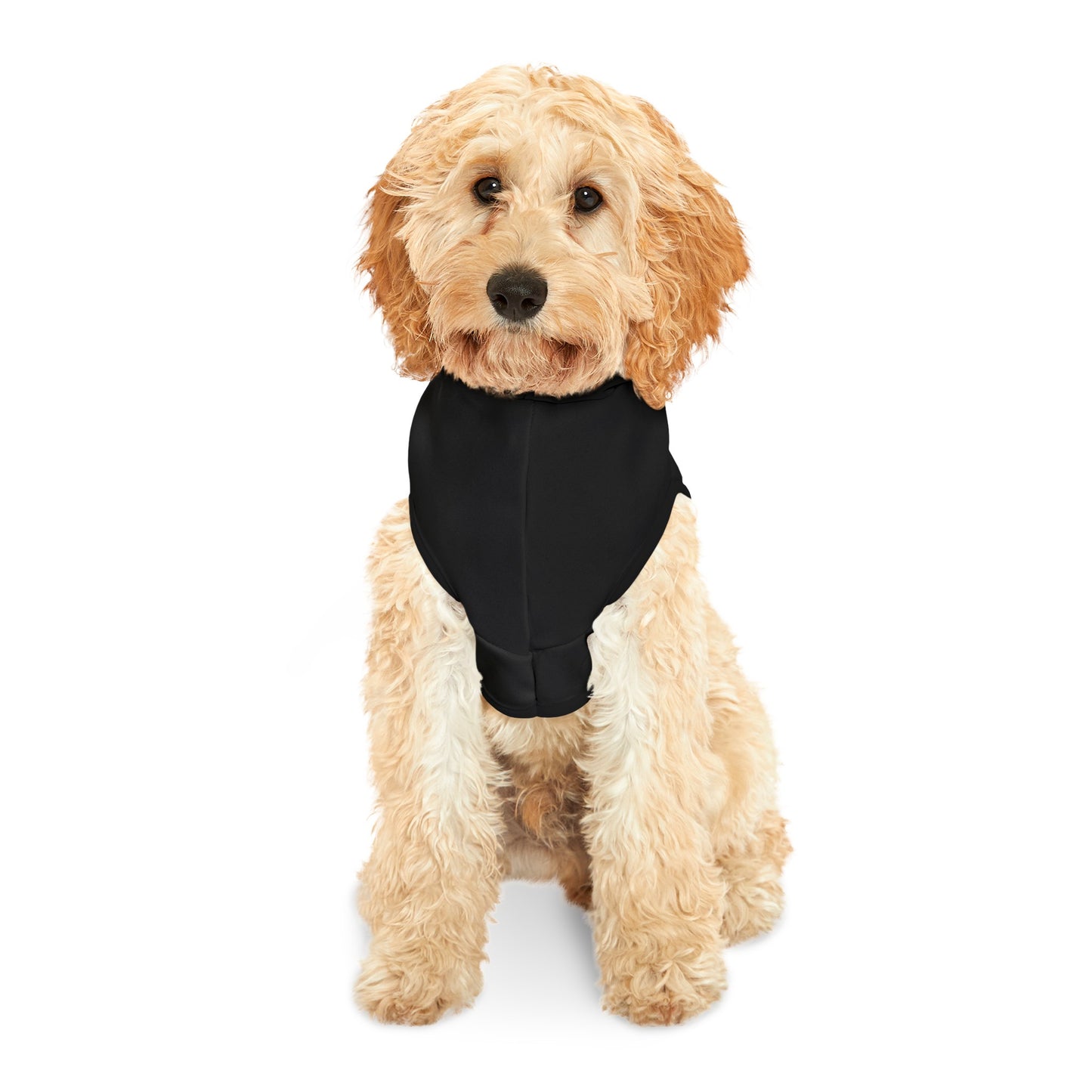 I'm here to be a Menace Pet Hoodie