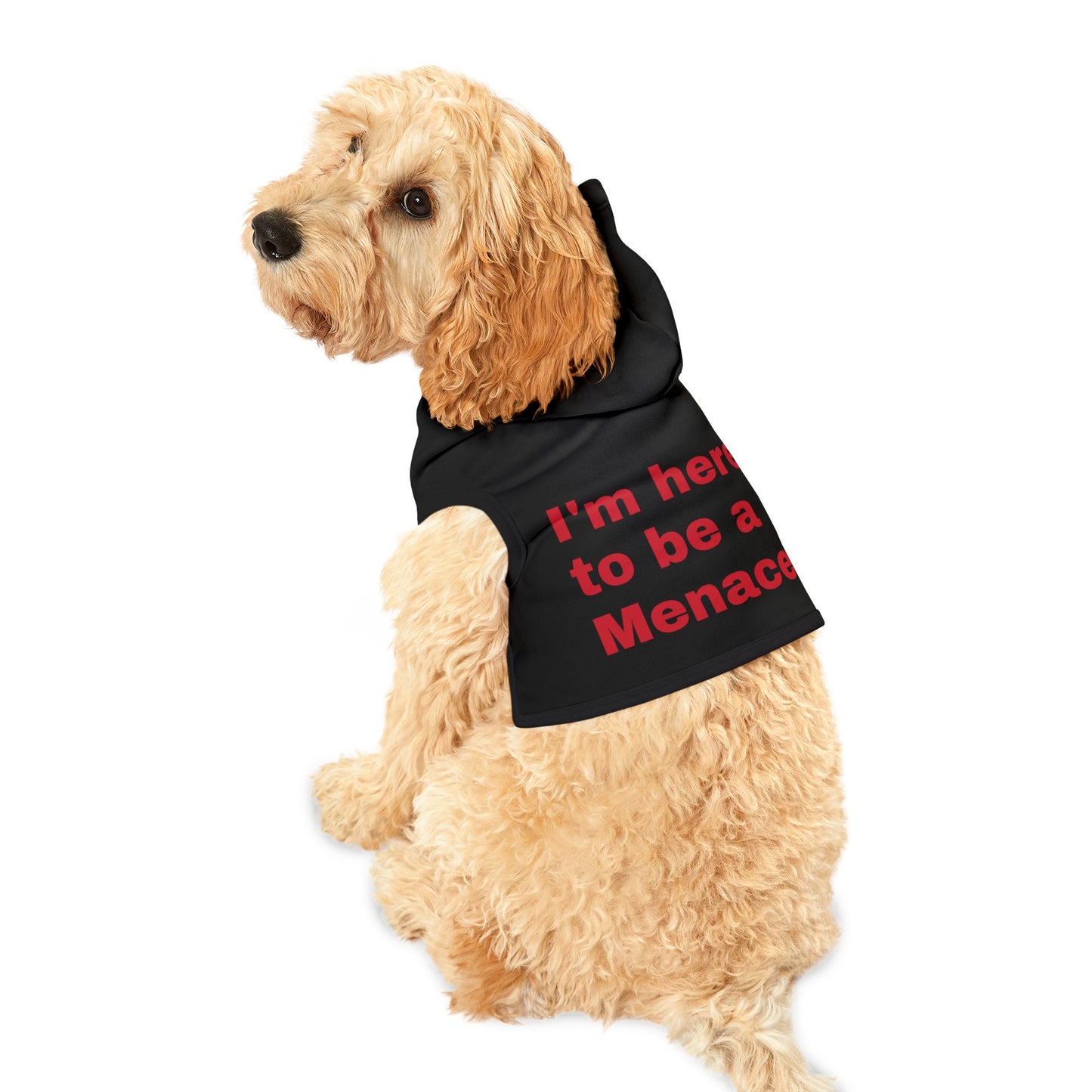 I'm here to be a Menace Pet Hoodie
