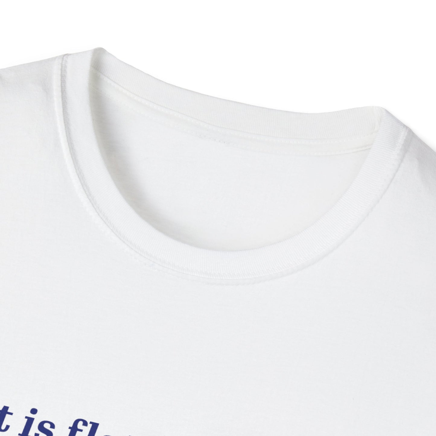 Nasa Flat Earth Unisex T-Shirt