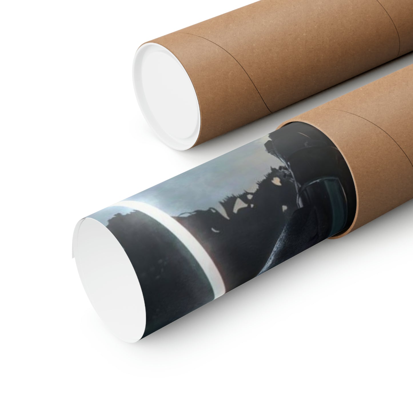 The Sandalorian Matte Vertical Posters