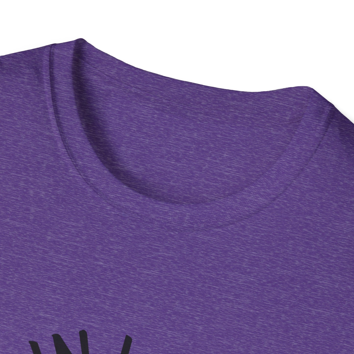 Get in Losers We're Doing Butt Stuff Funny UFO Softstyle T-Shirt
