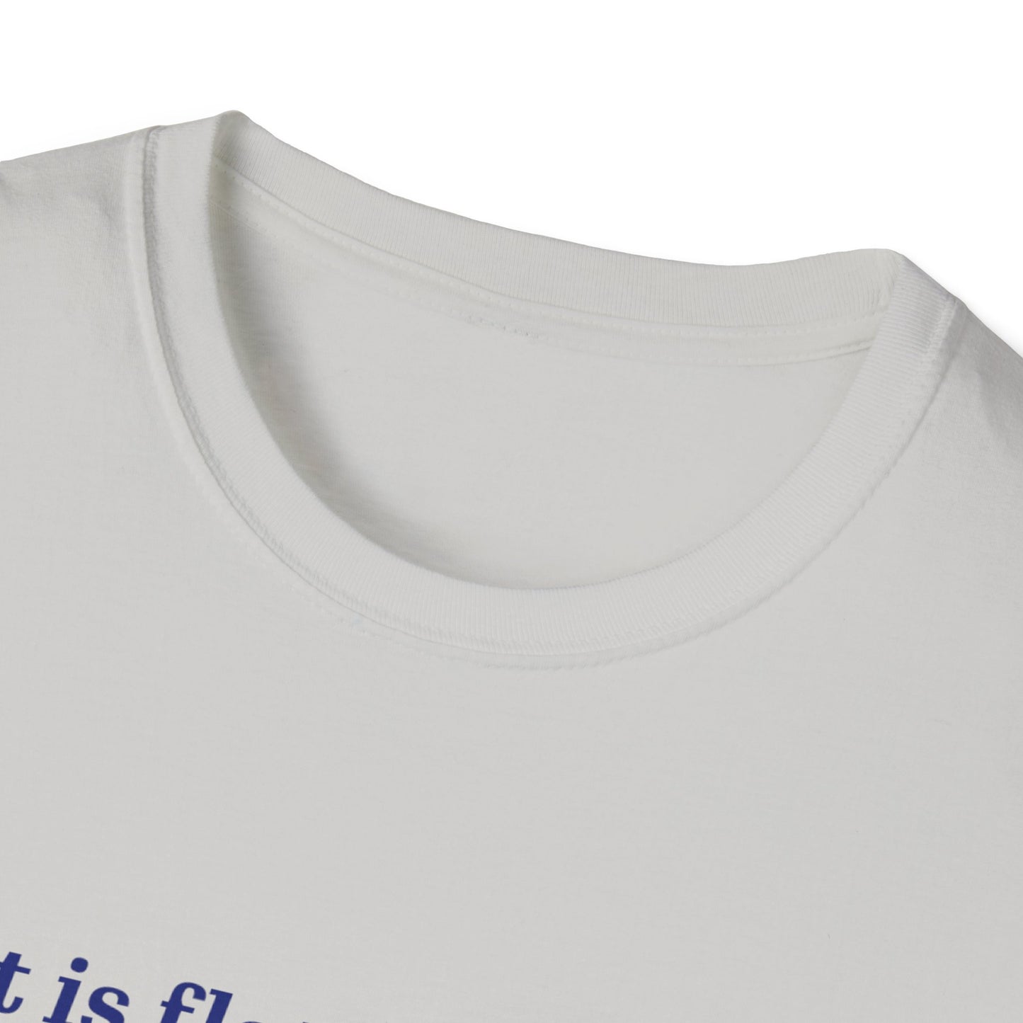 Nasa Flat Earth Unisex T-Shirt
