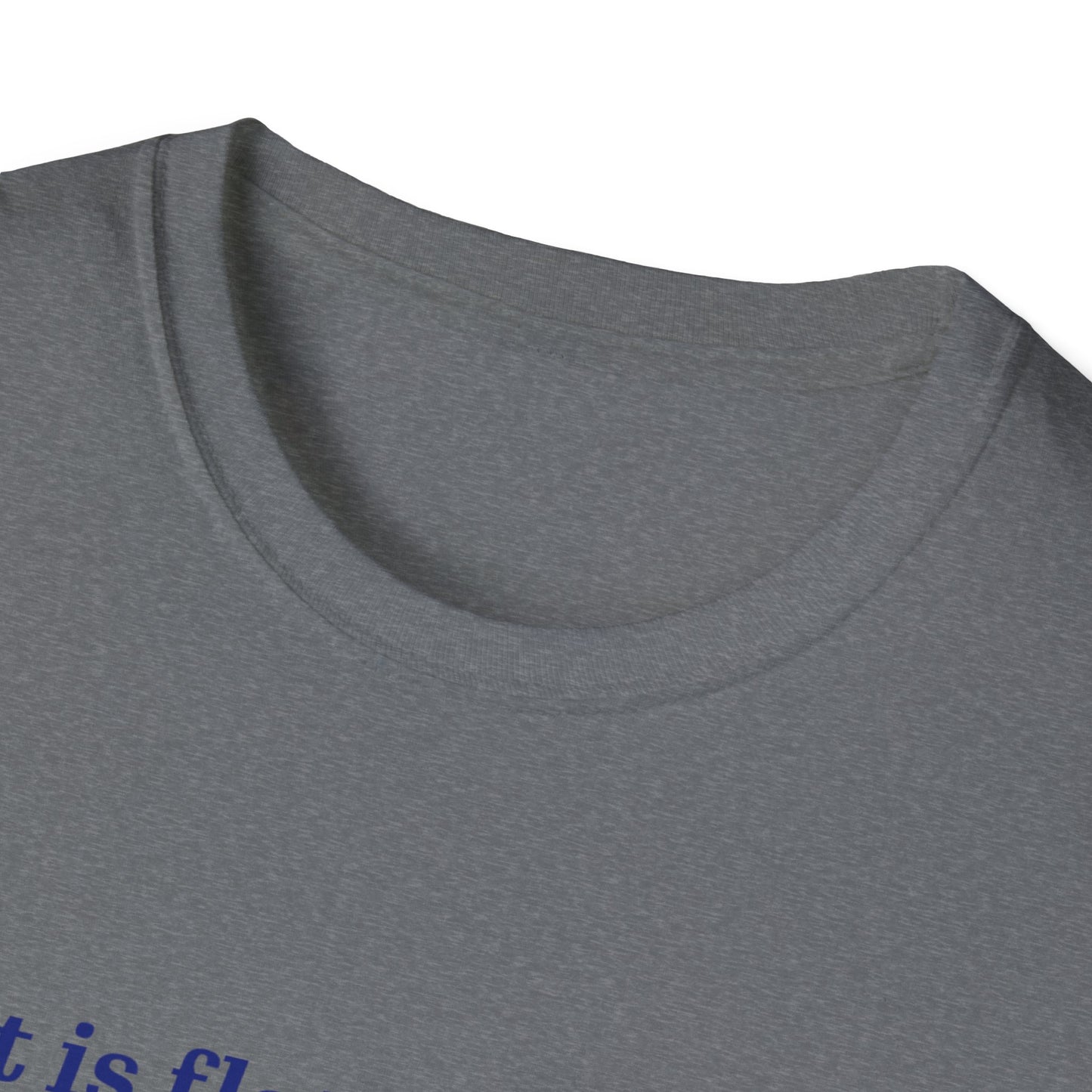 Nasa Flat Earth Unisex T-Shirt