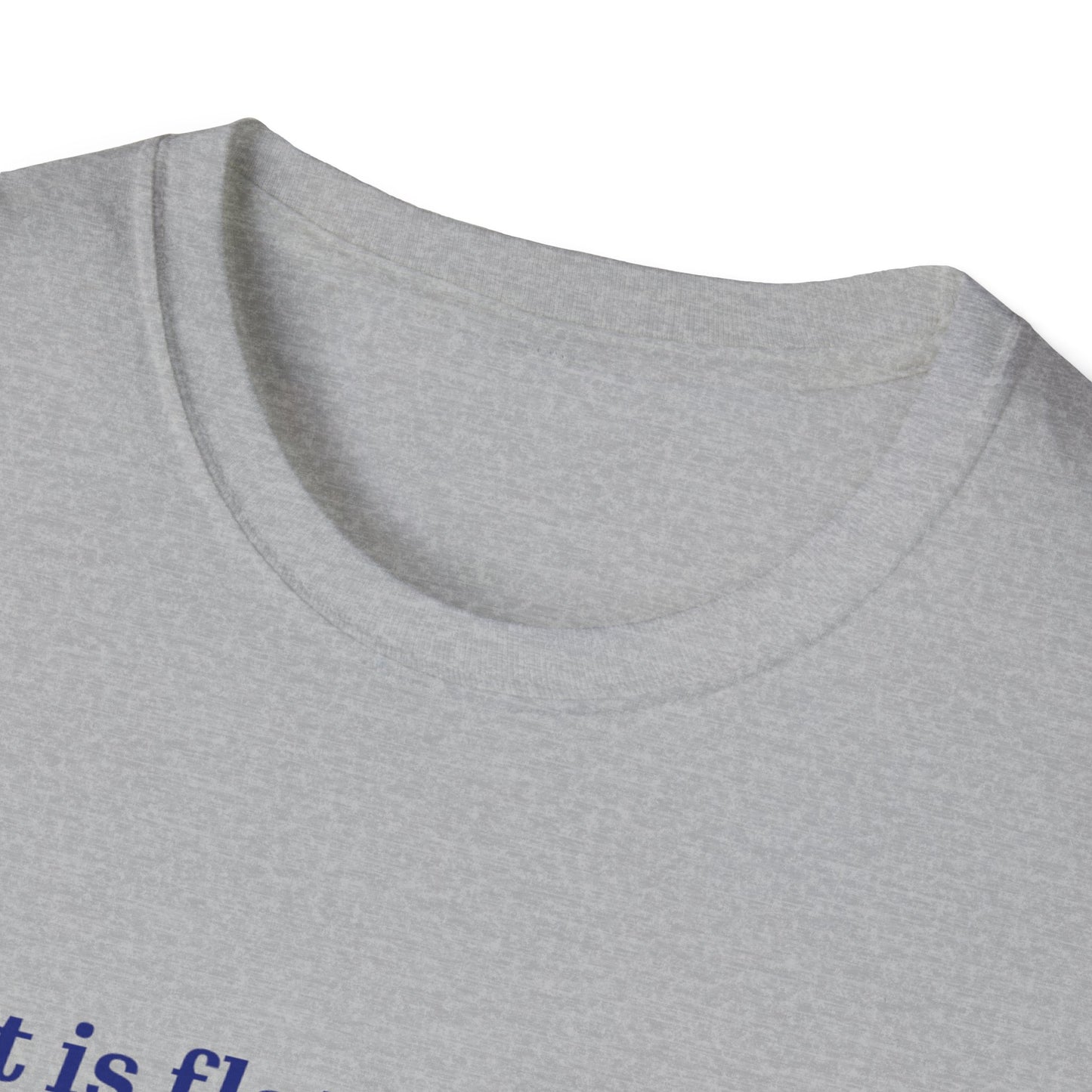 Nasa Flat Earth Unisex T-Shirt