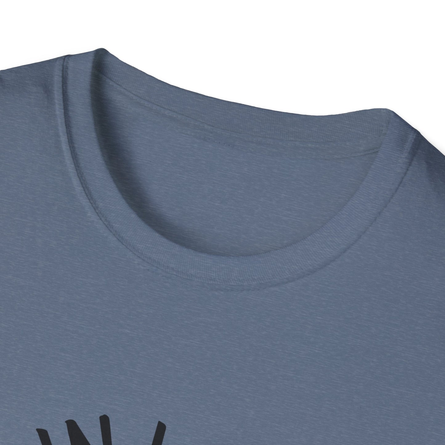Get in Losers We're Doing Butt Stuff Funny UFO Softstyle T-Shirt