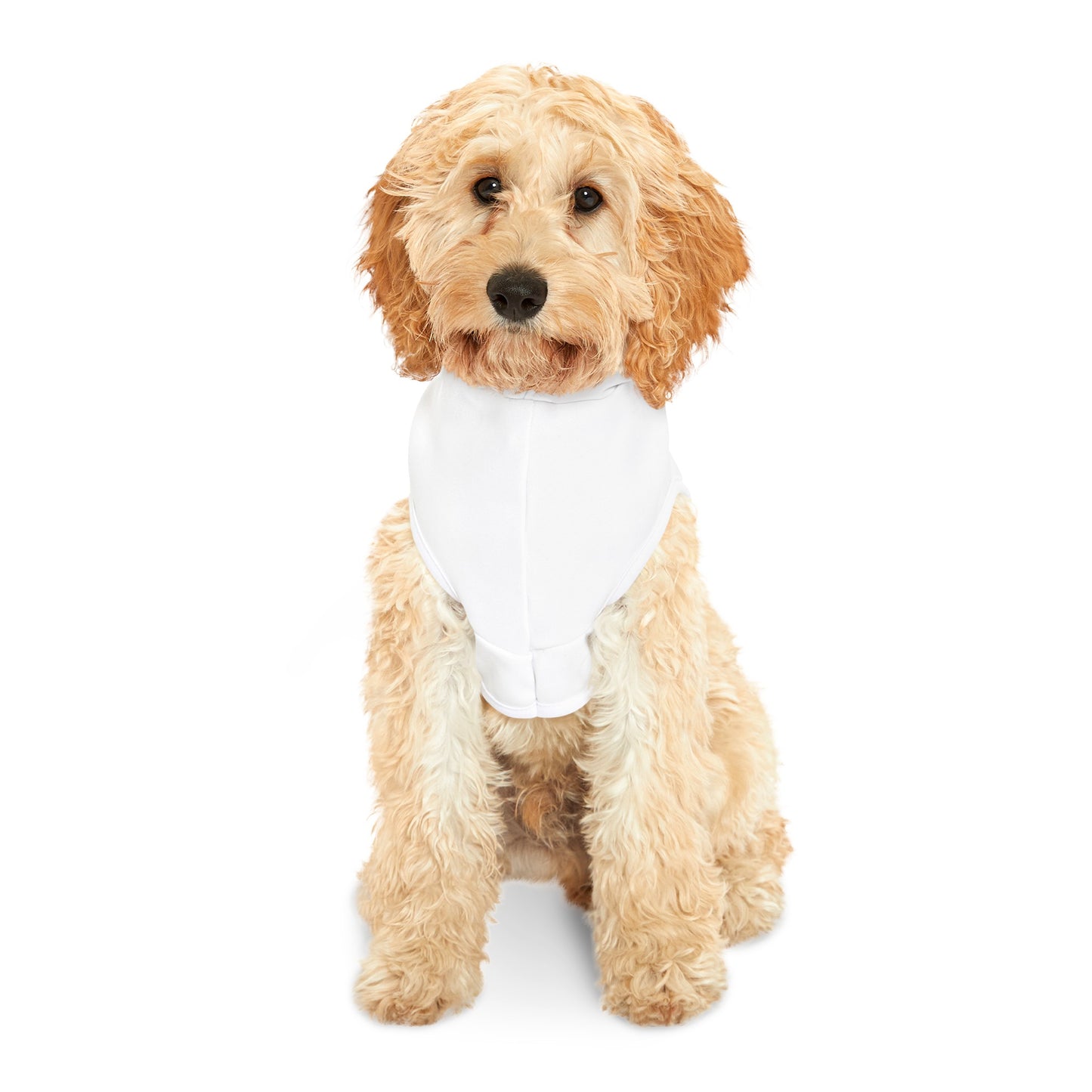 I'm here to be a Menace Pet Hoodie