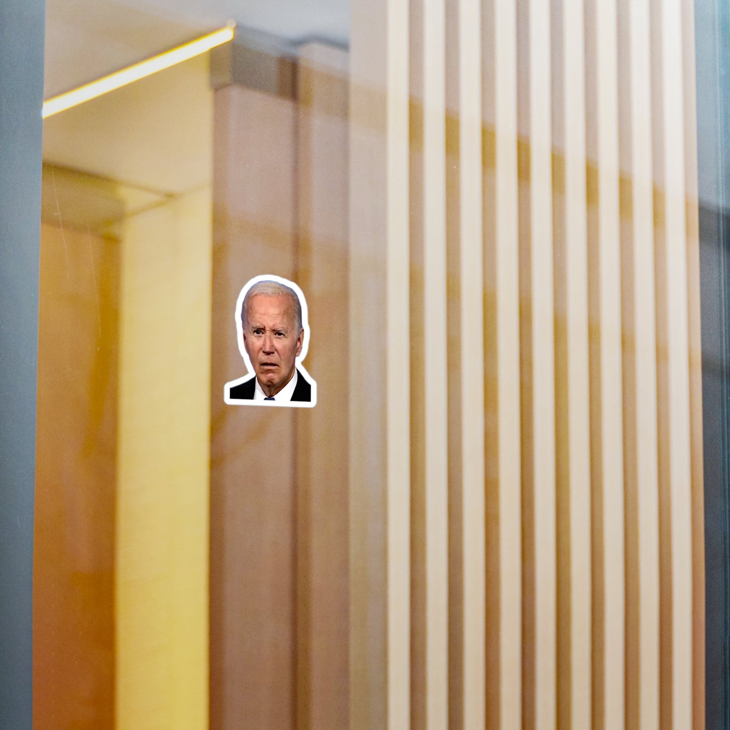 Joe Biden State of Confusion Vinyl Decals