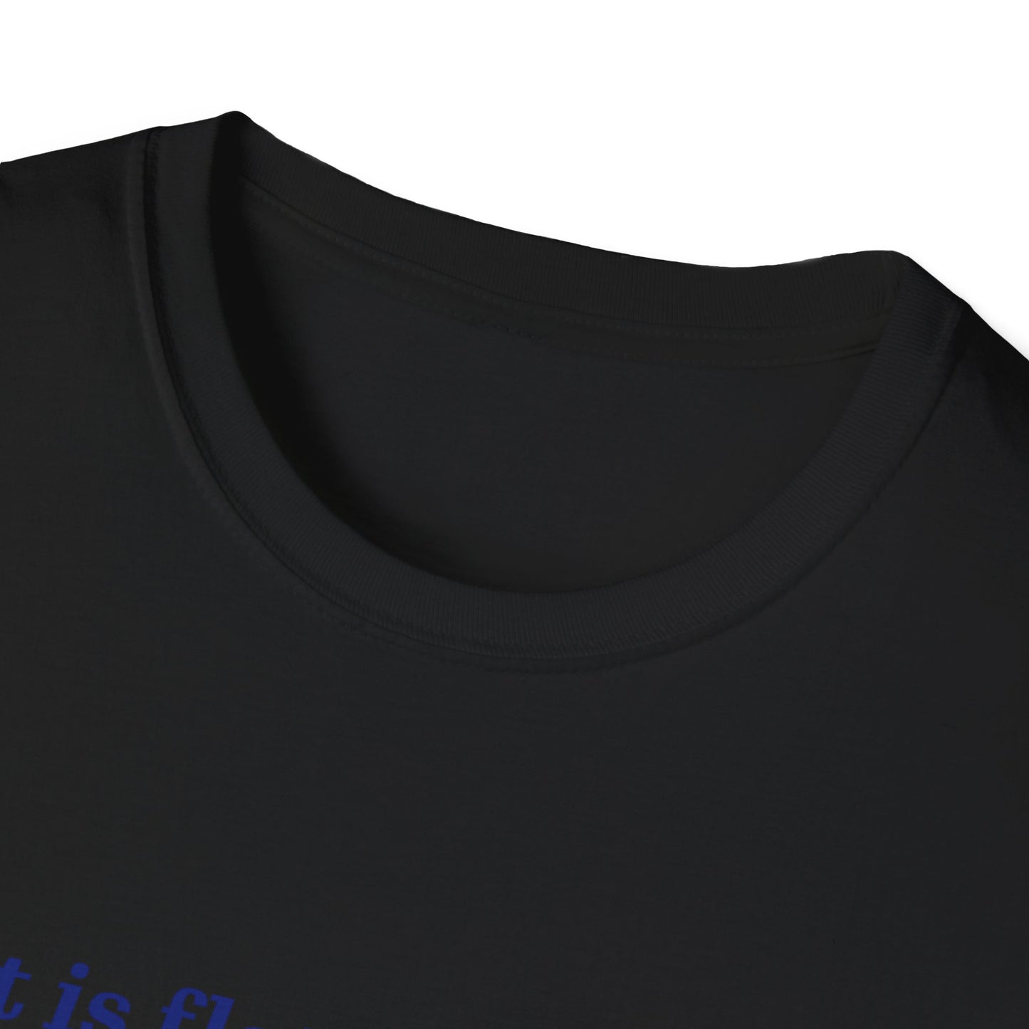 Nasa Flat Earth Unisex T-Shirt