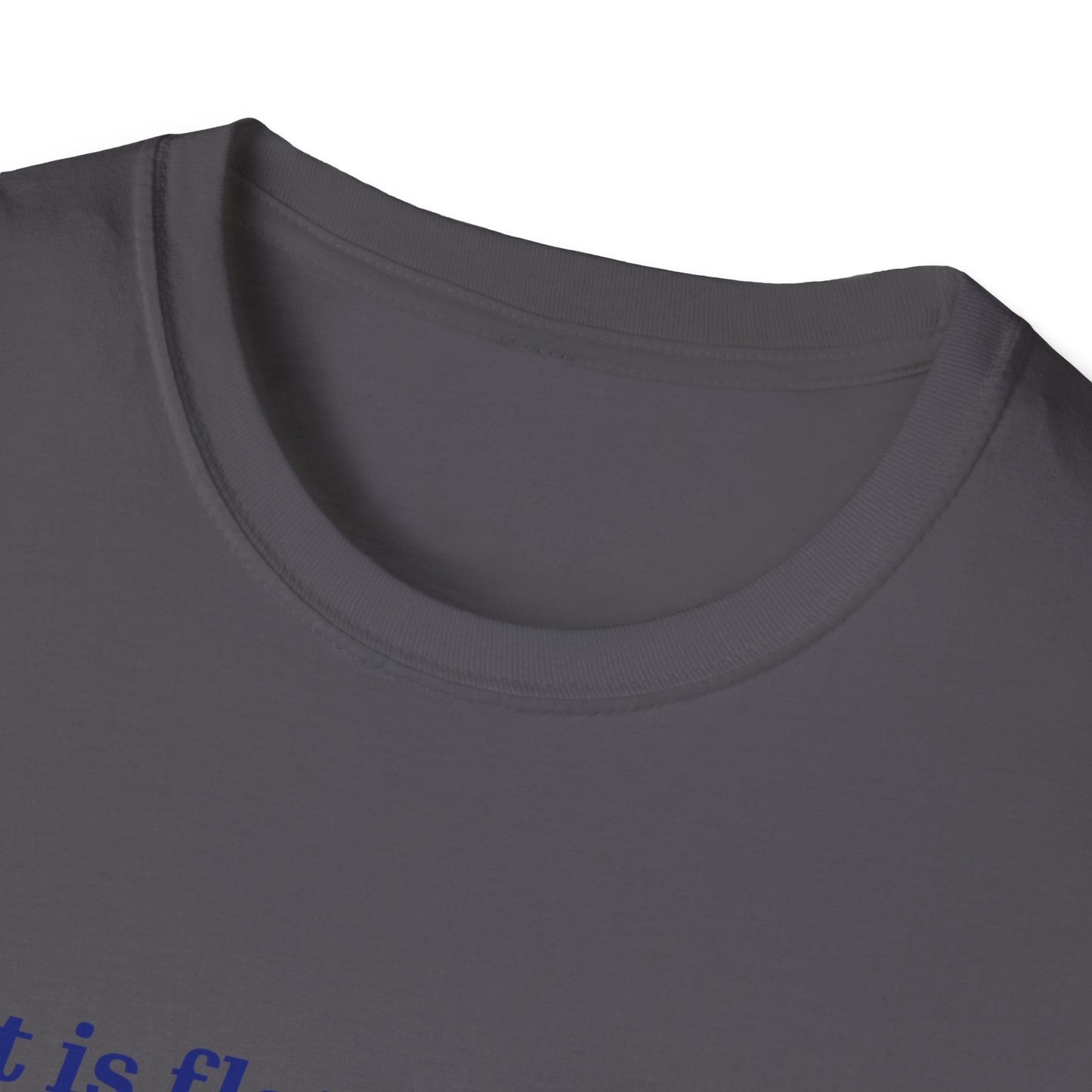 Nasa Flat Earth Unisex T-Shirt