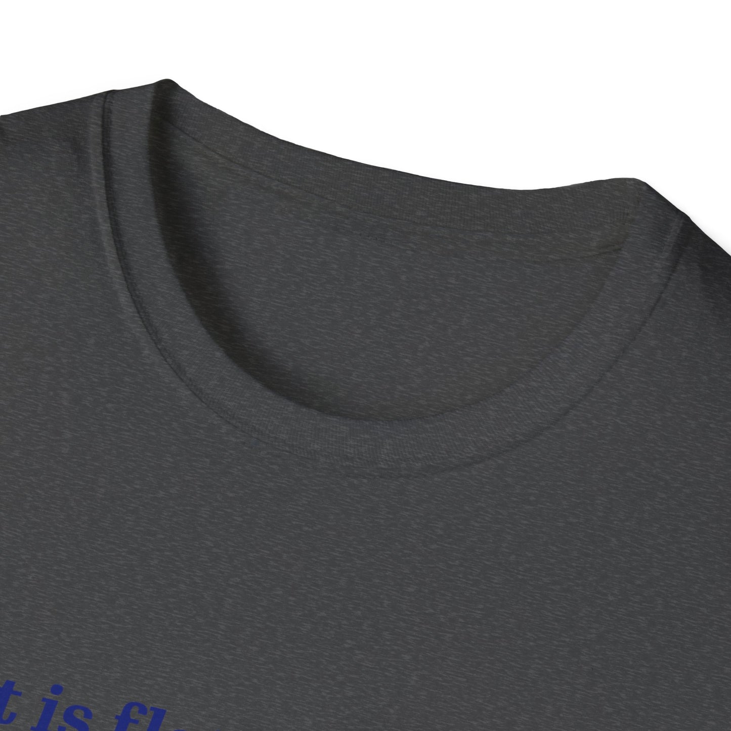 Nasa Flat Earth Unisex T-Shirt