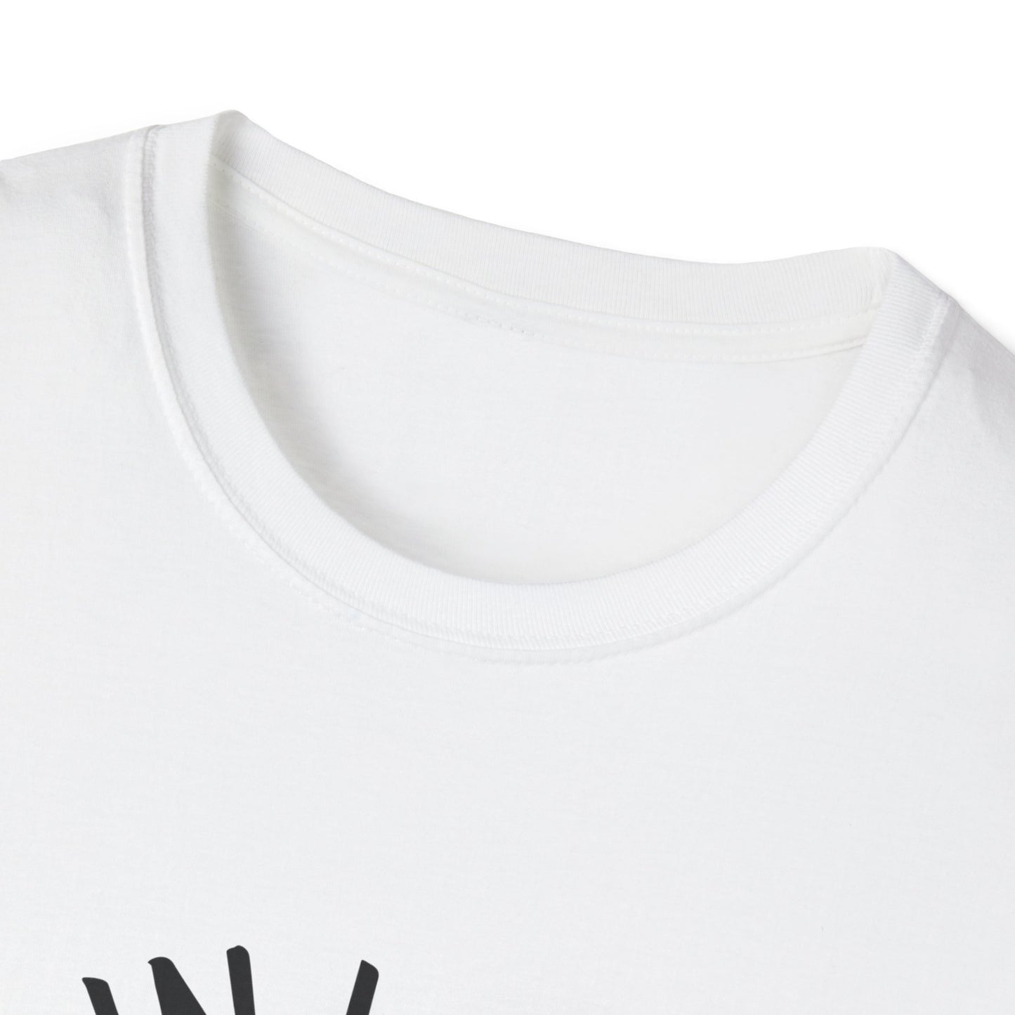 Get in Losers We're Doing Butt Stuff Funny UFO Softstyle T-Shirt